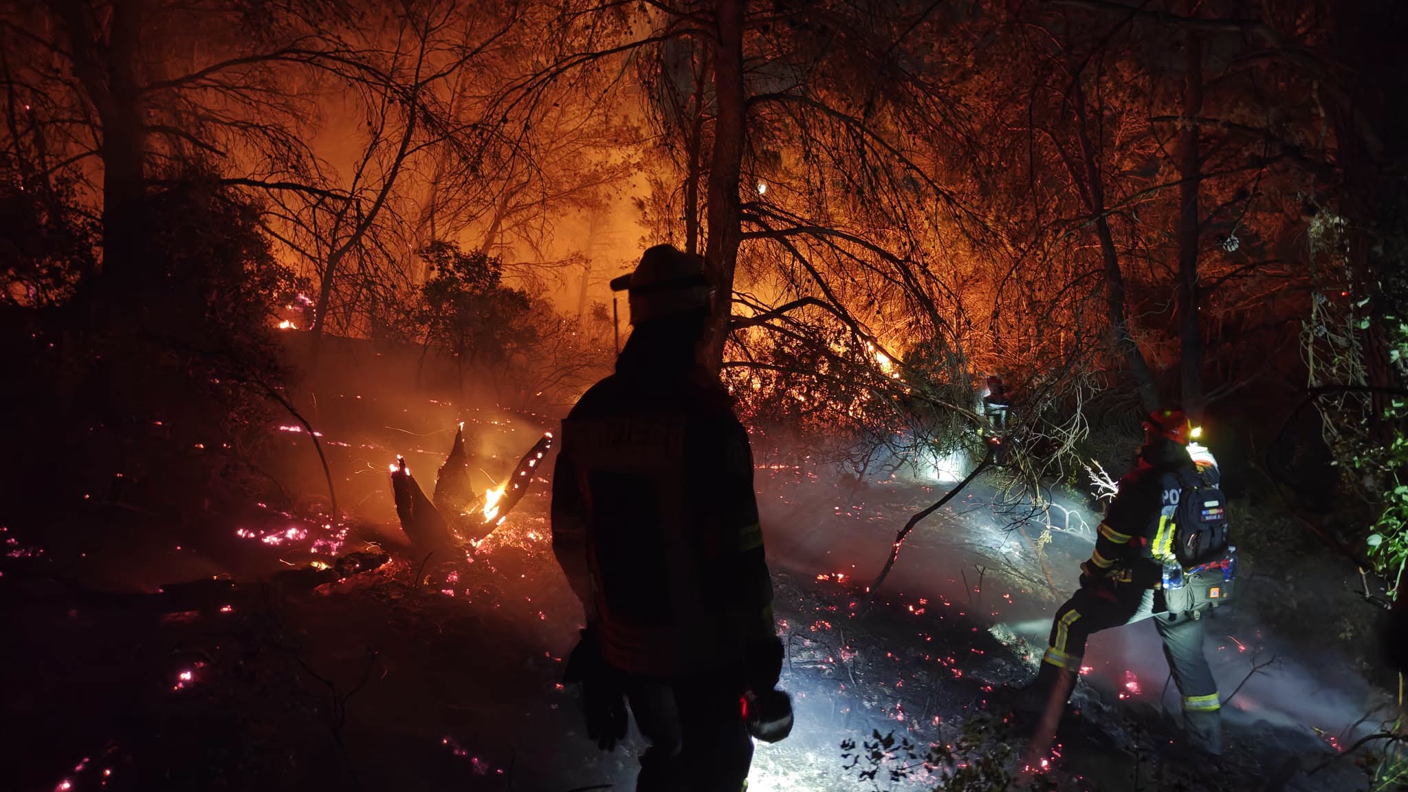 Cum au evoluat incendiile forestiere din Europa și de ce se agravează situația? / În 2025 a ars în UE o suprafață echivalentă cu teritoriul Ciprului / În acest an sunt recorduri istorice în Franța și Spania