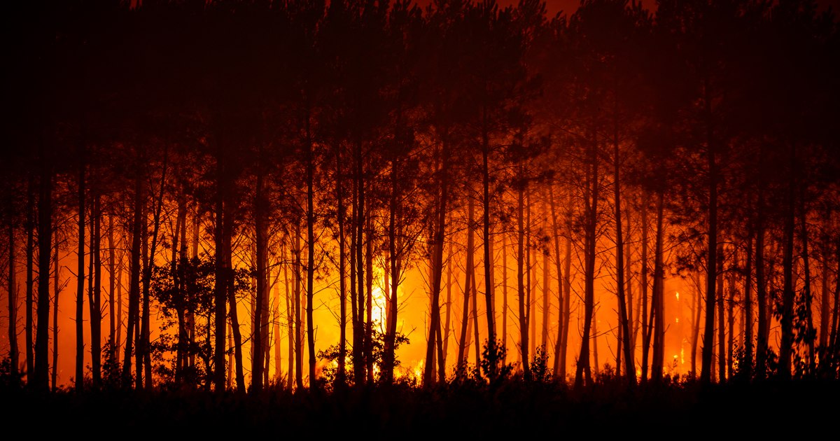 Valul de incendii se mută spre Grecia, Italia și Europa Centrală. „2026 e doar începutul”, avertizează un climatolog despre viitorul Europei